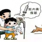 狂犬病：知真相 不恐狂